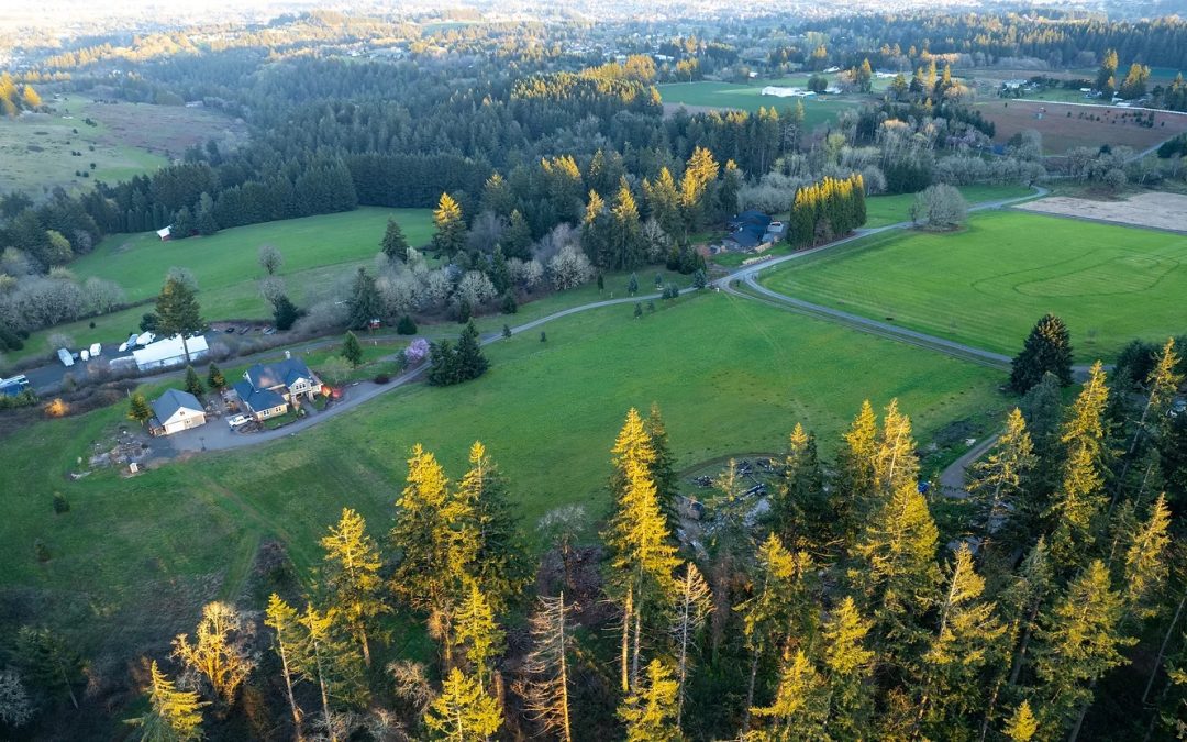 Elevating Your Listings: The Power of Aerial Photography in Real Estate